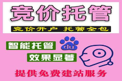 SEM托管服务成功案例：见证品牌成长